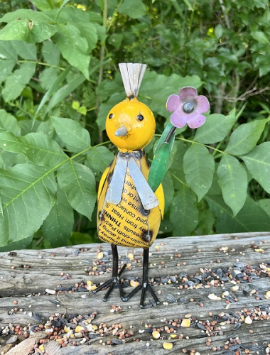 CORA BABY CHICK AVAIL JAN 2026